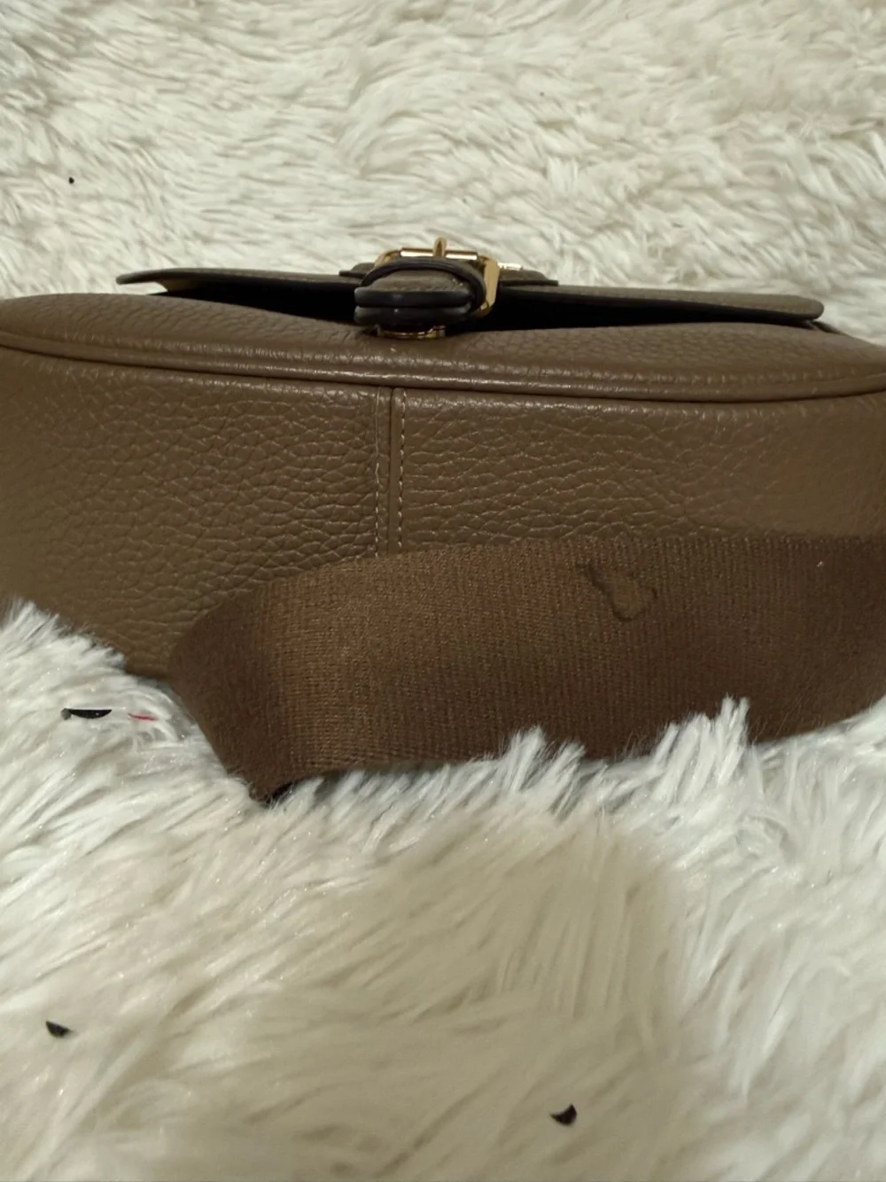 Coach Amelia Saddle Bag CP107 Dark Stone Pebble Leather Crossbody Gold Hardware - Picture 8 of 8